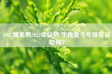 生肖属兔的年份表84 生肖属兔的年份表84年是什么