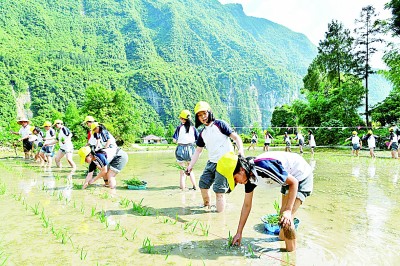 研学旅行走俏：在行走的课堂中，如何读懂更大的世界