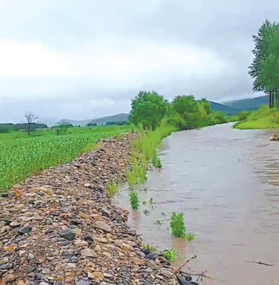 尽早加固河堤 雨季免淹农田（身边事）