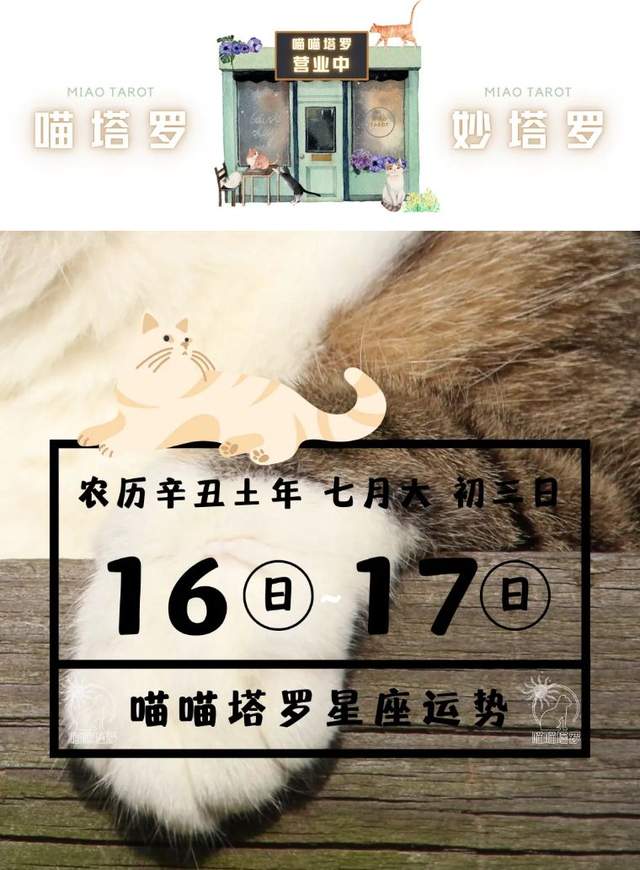 8月17日是什么星座的(8月17日的星座是什么星座)