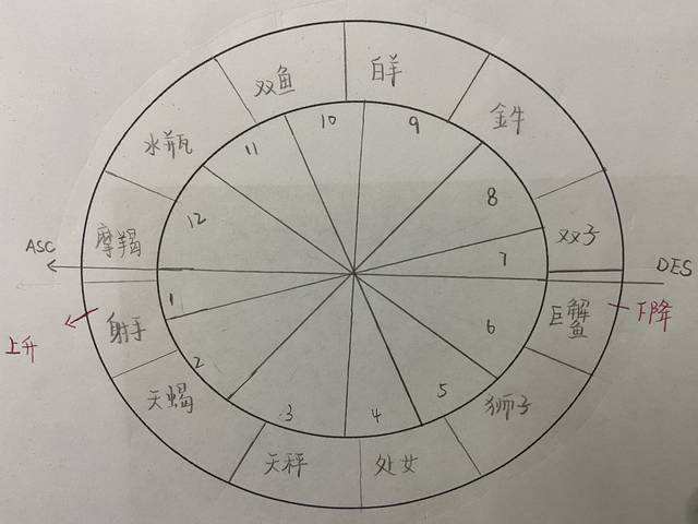 星座12宫(星座12宫顺序)