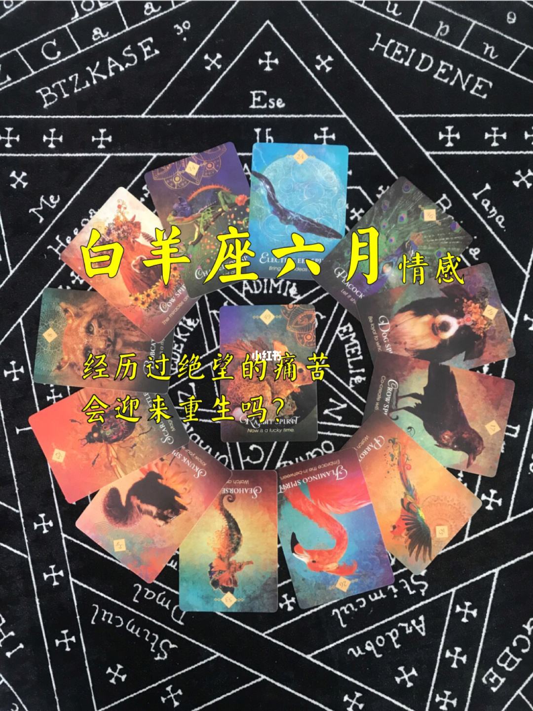 六月十四是什么星座的(阴历六月十四是什么星座的)