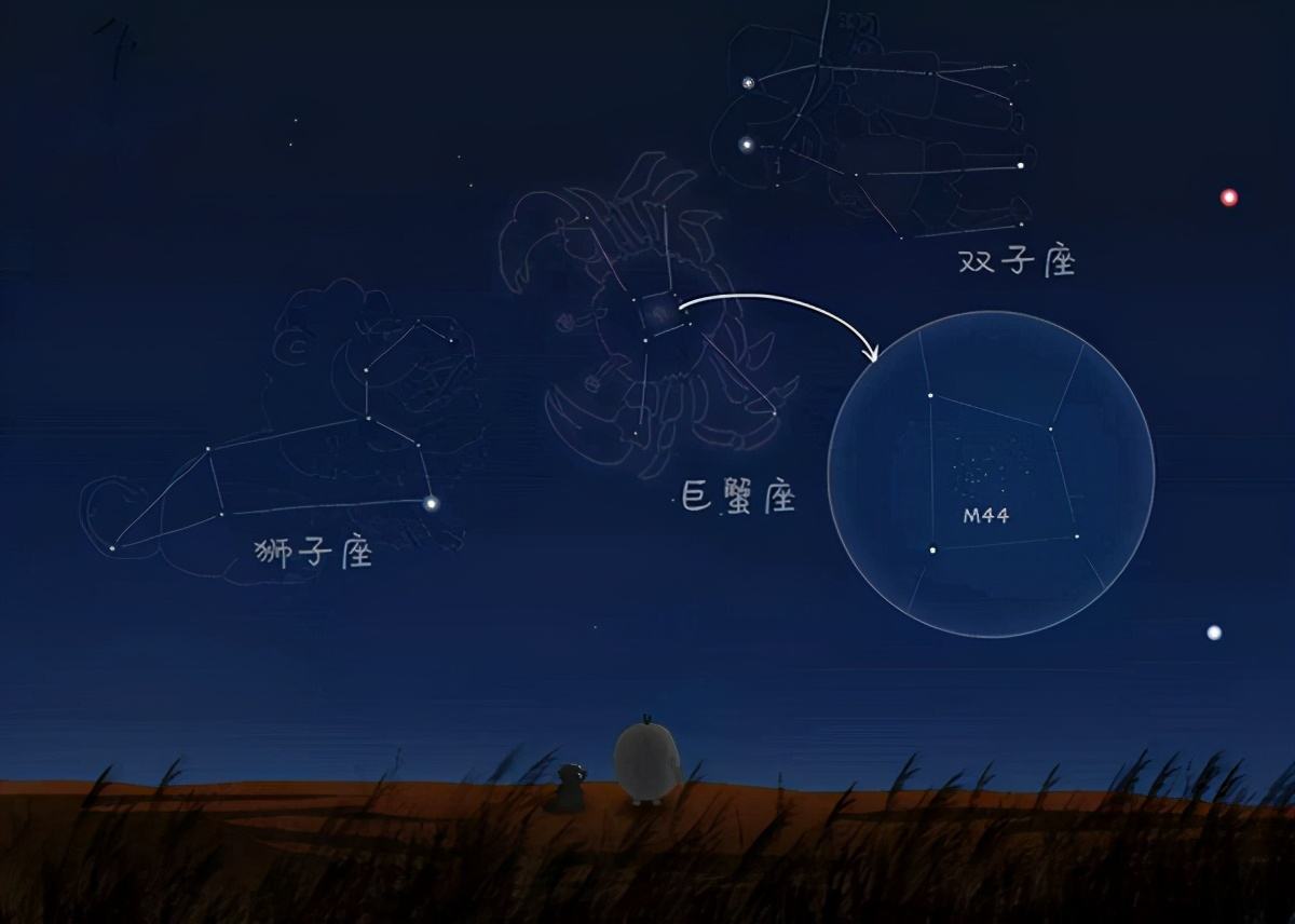 哪个星座(哪个星座最容易出海王)