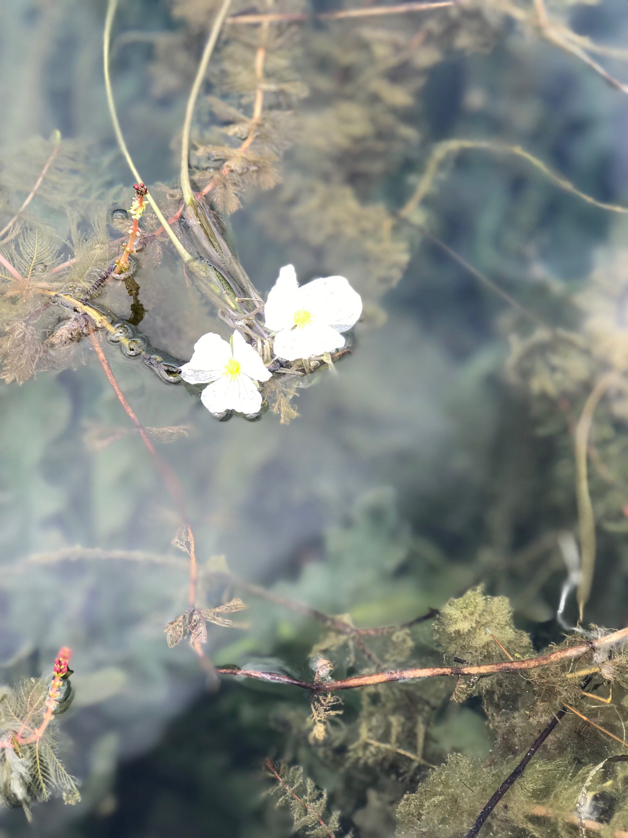 水性杨花的星座(水瓶座女水性杨花吗)