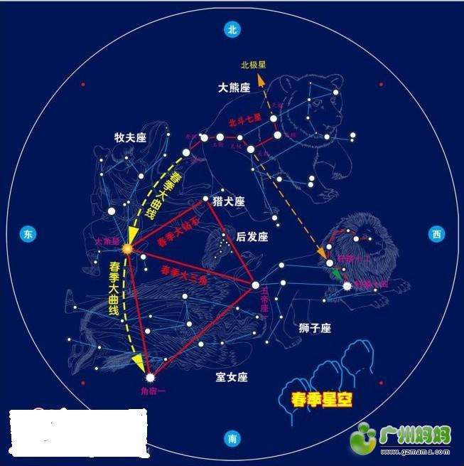 牛郎是什么星座(牛郎是属于哪个星座)