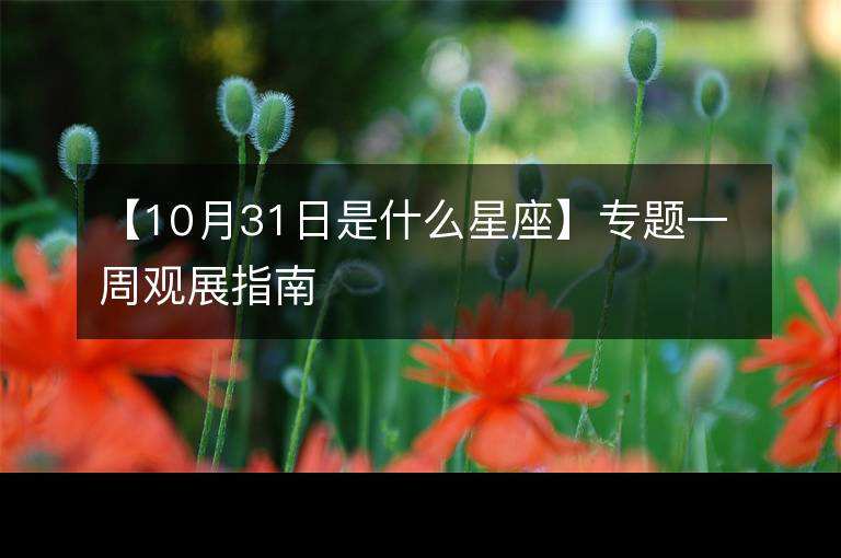 10月初九是什么星座(1996年10月初九是什么星座)