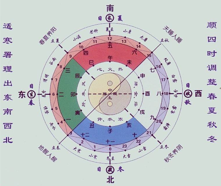 五行星座(五行星座哪个准)