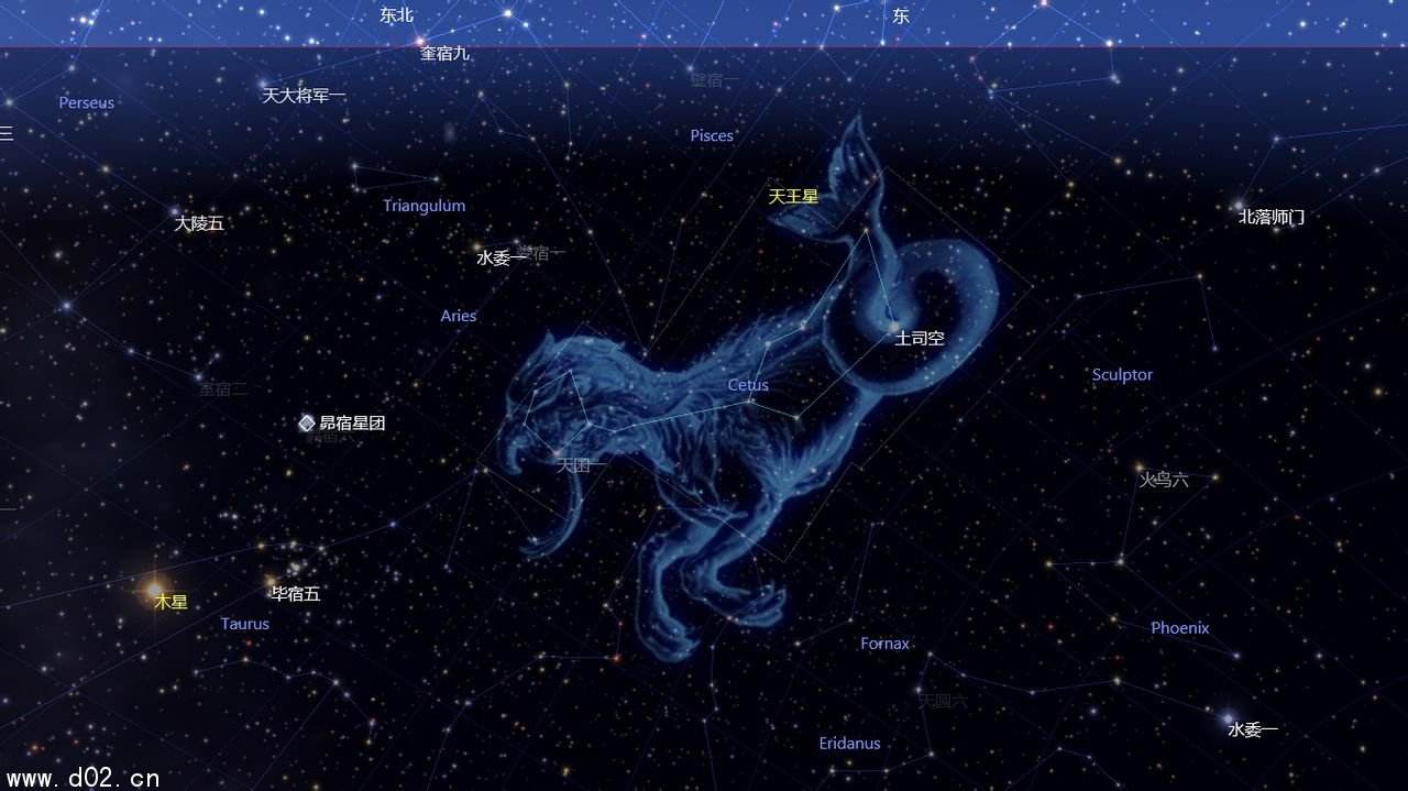 11月22号什么星座(11月22号什么星座阳历)