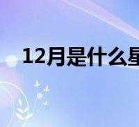 11月23日什么星座(11月23日什么星座女)