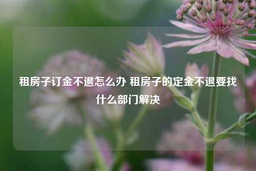 租房子订金不退怎么办 租房子的定金不退要找什么部门解决