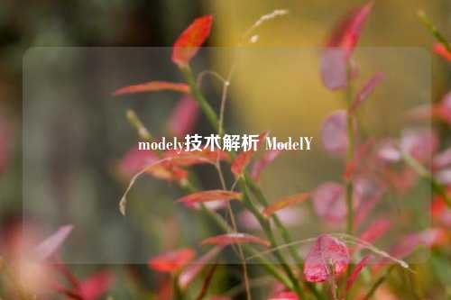 modely技术解析 ModelY