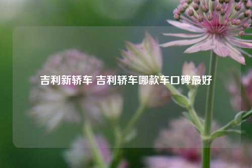 吉利新轿车 吉利轿车哪款车口碑最好