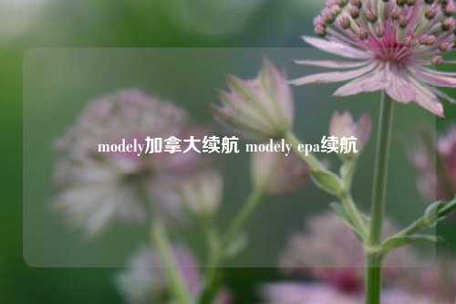 modely加拿大续航 modely epa续航