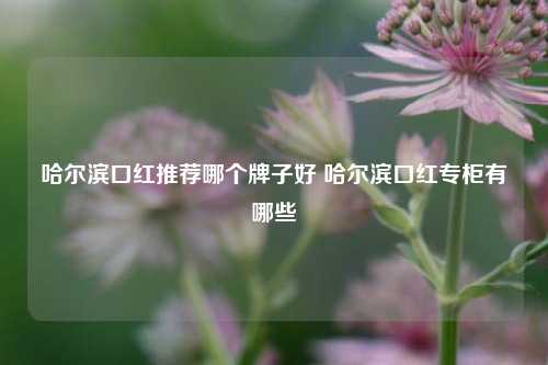 哈尔滨口红推荐哪个牌子好 哈尔滨口红专柜有哪些