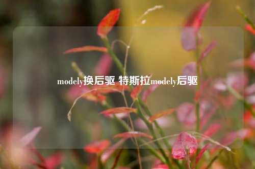 modely换后驱 特斯拉modely后驱