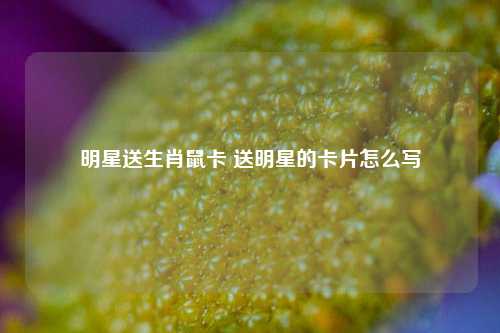 明星送生肖鼠卡 送明星的卡片怎么写