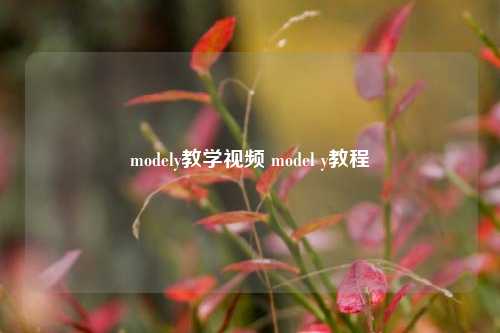 modely教学视频 model y教程