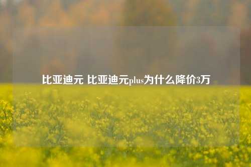 比亚迪元 比亚迪元plus为什么降价3万