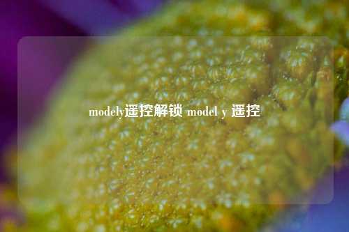 modely遥控解锁 model y 遥控