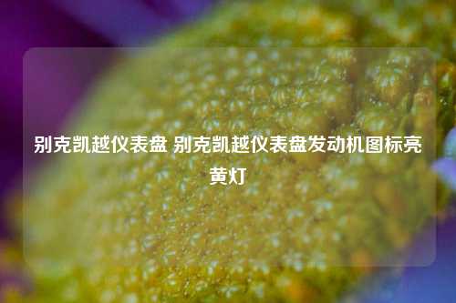 别克凯越仪表盘 别克凯越仪表盘发动机图标亮黄灯