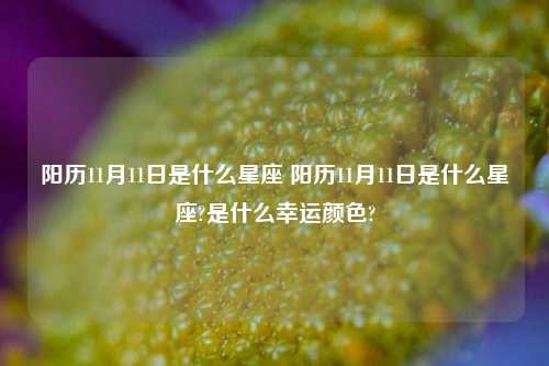 阳历11月11日是什么星座 阳历11月11日是什么星座?是什么幸运颜色?