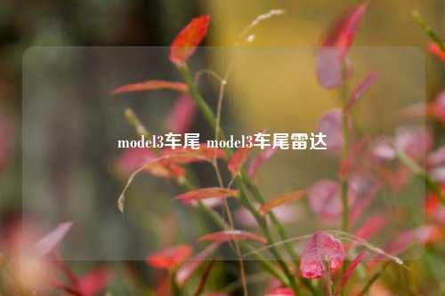 model3车尾 model3车尾雷达