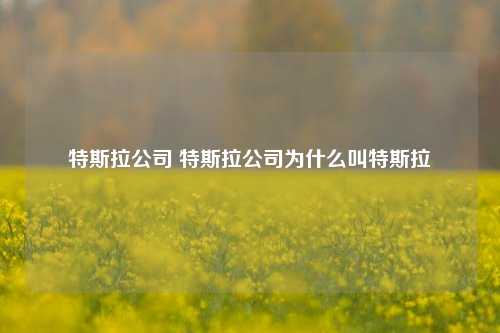 特斯拉公司 特斯拉公司为什么叫特斯拉