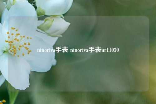 ninoriva手表 ninoriva手表nr11030