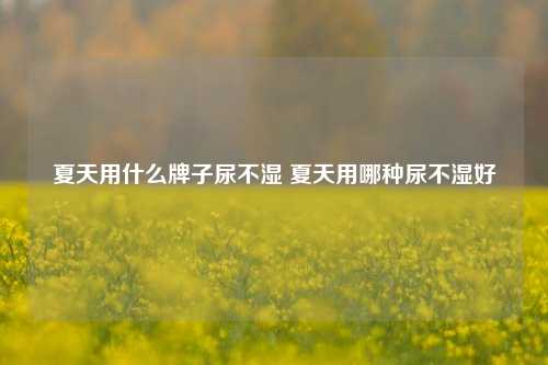 夏天用什么牌子尿不湿 夏天用哪种尿不湿好