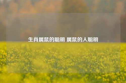 生肖属鼠的聪明 属鼠的人聪明