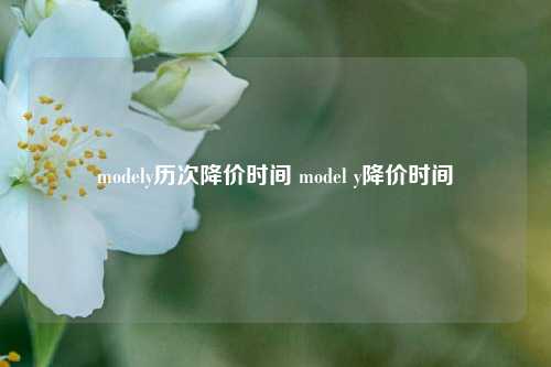 modely历次降价时间 model y降价时间