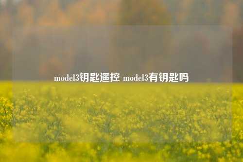 model3钥匙遥控 model3有钥匙吗