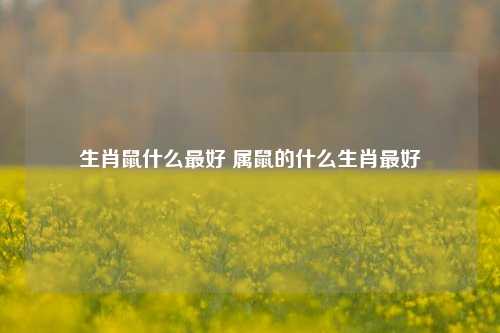 生肖鼠什么最好 属鼠的什么生肖最好