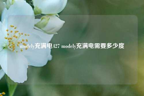 modely充满电427 modely充满电需要多少度