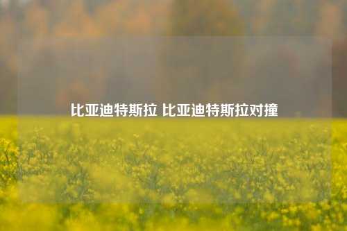 比亚迪特斯拉 比亚迪特斯拉对撞