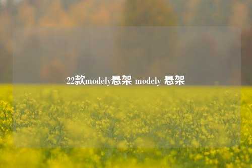 22款modely悬架 modely 悬架