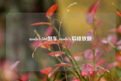 modely360倒车 modely后排放倒