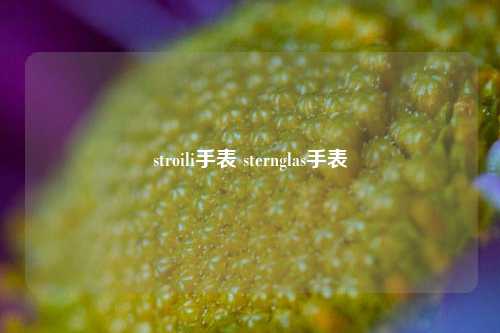 stroili手表 sternglas手表