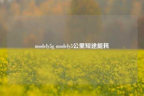 modely5g modely5公里短途能耗